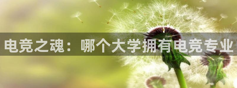乐竞电竞官网入口：电竞之魂：哪个大学拥有电竞专业