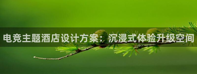 乐竞电竞青训基地怎么样：电竞主题酒店设计方案：沉浸式体验升级空间