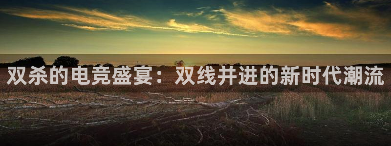 乐竞电竞青训基地怎么样：双杀的电竞盛宴：双线并进的新时代潮流