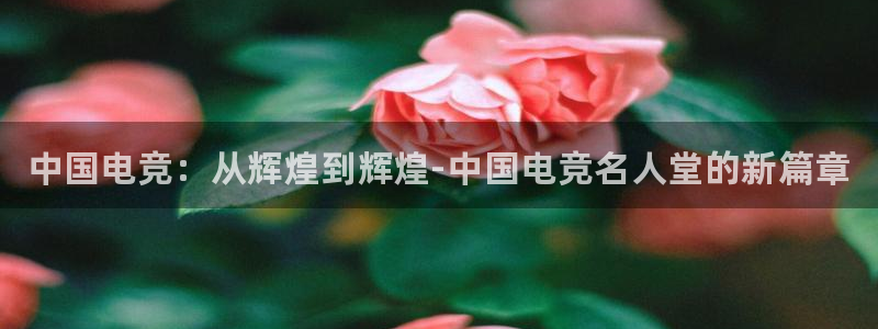 乐竞电竞学院怎么样：中国电竞：从辉煌到辉煌-中国电竞名人堂的新篇章