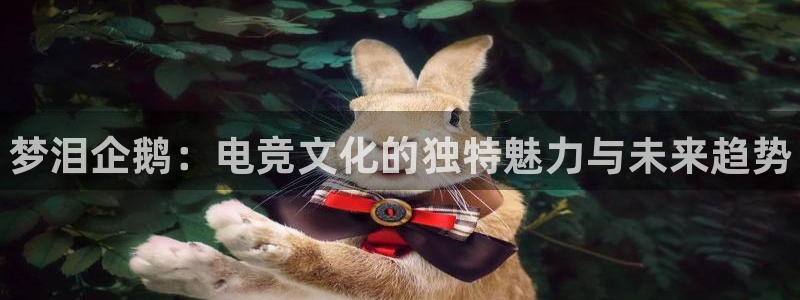 乐竞电竞app