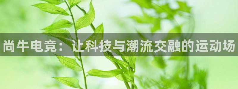 乐竞电竞体育官网：尚牛电竞：让科技与潮流交融的运动场