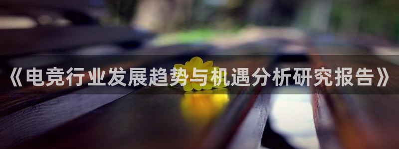 乐竞电竞app官方入口下载：《电竞行业发展趋势与机遇分析研究报告》
