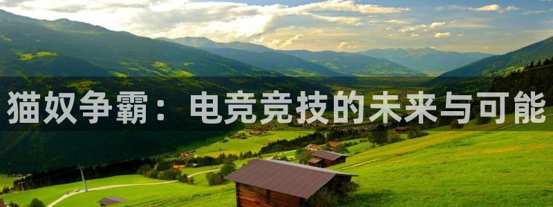成都乐竞电竞：猫奴争霸：电竞竞技的未来与可能