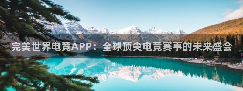 乐竞电竞官网：完美世界电竞APP：全球顶尖电竞赛事的未来盛会