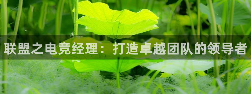 成都乐竞电竞：联盟之电竞经理：打造卓越团队的领导者