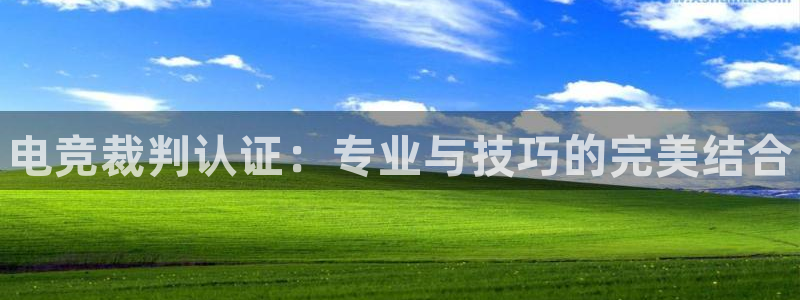 乐竞电竞体育官网：电竞裁判认证：专业与技巧的完美结合