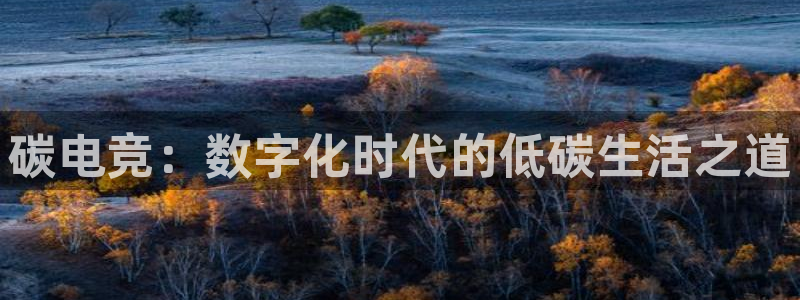 乐竞电竞：碳电竞：数字化时代的低碳生活之道