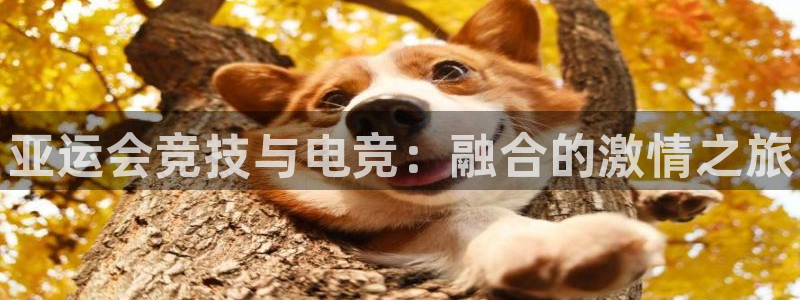 乐竞电竞官网入口：亚运会竞技与电竞：融合的激情之旅