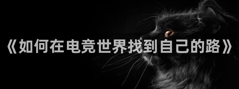 成都乐竞电竞青训基地：《如何在电竞世界找到自己的路》