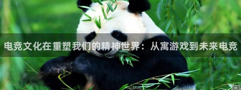 成都乐竞电竞青训基地：电竞文化在重塑我们的精神世界：从寓游戏到未来电竞