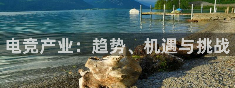 乐竞电竞青训基地怎么样：电竞产业：趋势、机遇与挑战