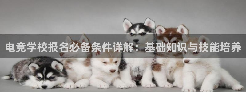 乐竞电竞官网首页