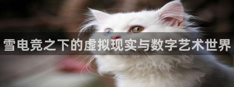 乐竞电竞app官方入口下载