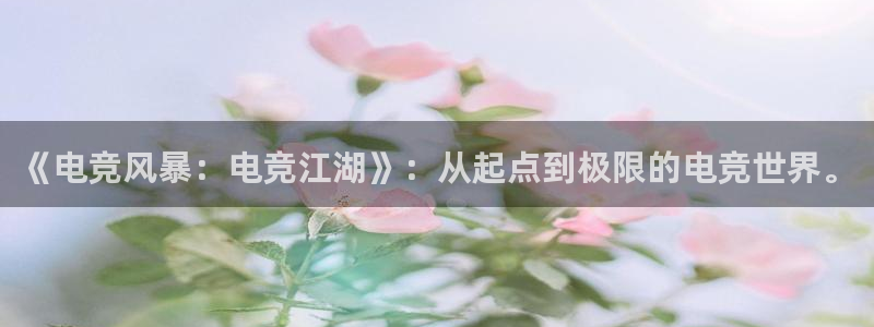 乐竞电竞官网
