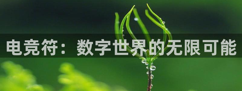 乐竞电竞官网：电竞符：数字世界的无限可能